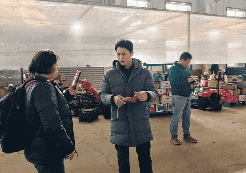 images/1772613164522sweet potato Processing line.png